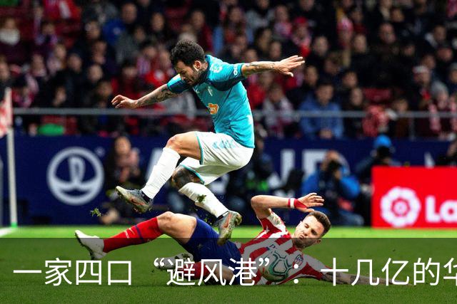 一家四口“避风港”：十几亿的华丽逃离与沉重后果