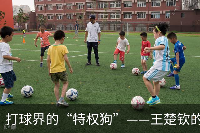 打球界的“特权狗”——王楚钦的悲喜剧