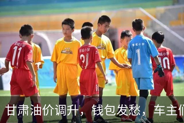 甘肃油价调升，钱包发愁，车主们，该加油啦！